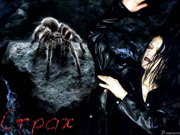 Линда Страх