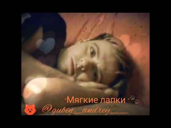 Андрей Губин Мягкие Лапки