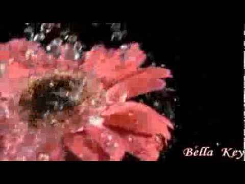 Юрий Шатунов Слезы твои