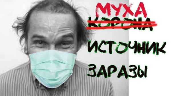 Звуки МУ Источник заразы