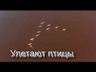 Рождество Улетают птицы Рождество Улетают птицы