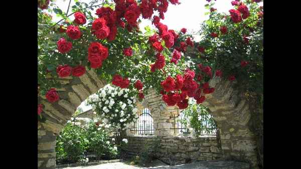 МГК Замок Эдем МГК Замок Эдем