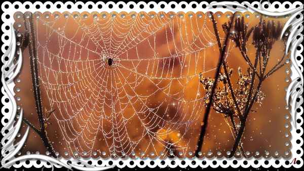 МГК Тропинка