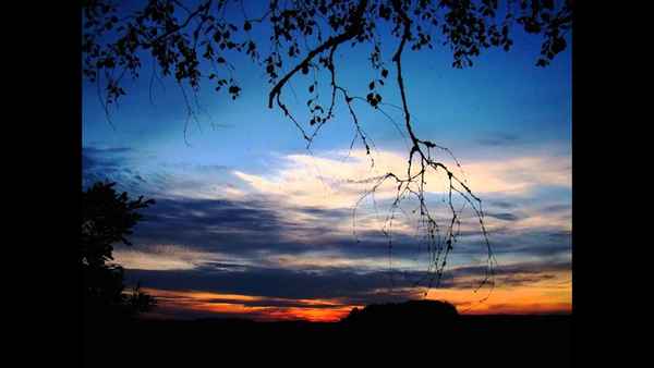 Павел Кашин Сонная река