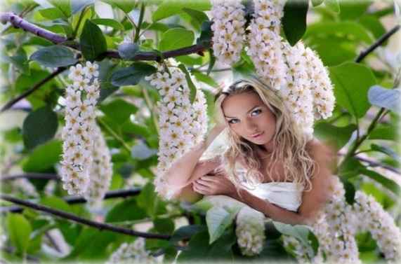 Катя Лель Белая Черёмуха