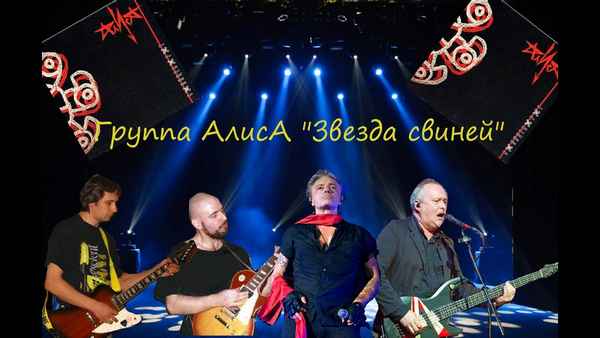 Алиса Звезда Свиней