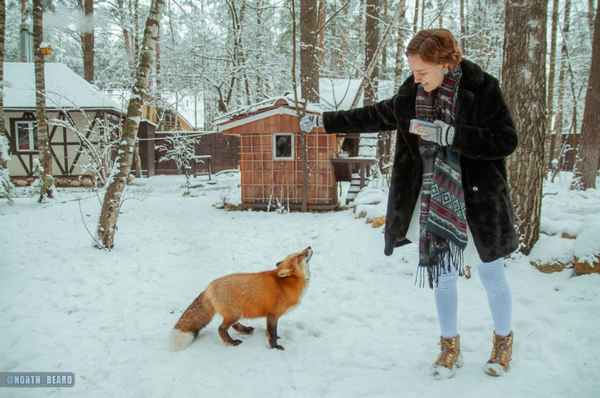 Алиса Хозяин