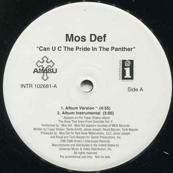 2Pac Can U C The Pride In The Panther - Mos Def