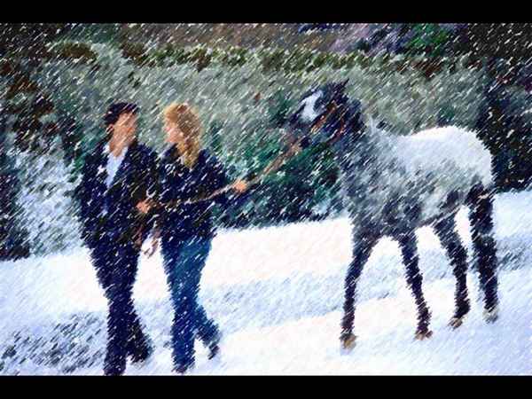 Paul McCartney Winter Rose/Love Awake