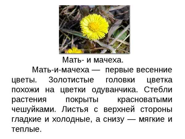 Мот - Мать и мачеха (Текст Песни, Слова) Мот - Мать и мачеха (Текст Песни, Слова)