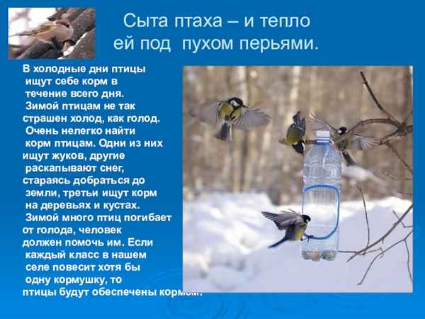 Птаха Тепло (и Легенды ПРО)