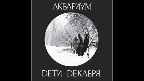 Аквариум 212-85-06