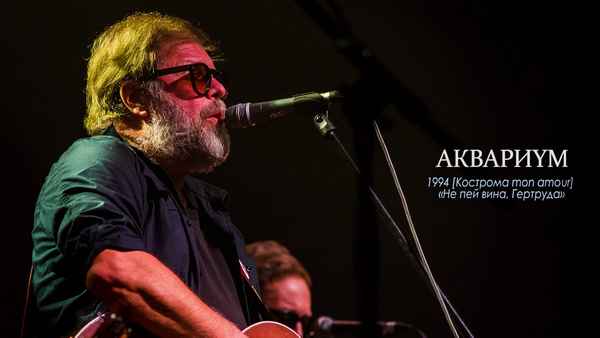 Аквариум Не пей вина, Гертруда