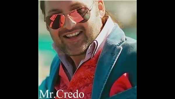 Мистер Кредо Единственная боль