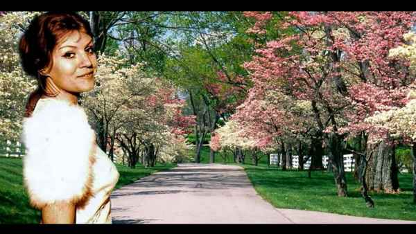 Анна Герман Я жду весну