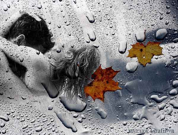 Слёзы Асфальта Капли дождя Слёзы Асфальта Капли дождя