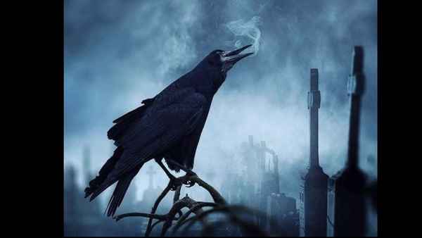 Эльбрус Джанмирзоев Одинокий ворон (& Shot)