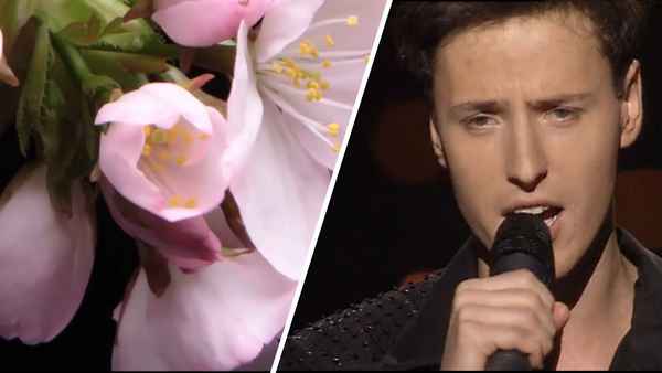 Витас Боже, как я люблю