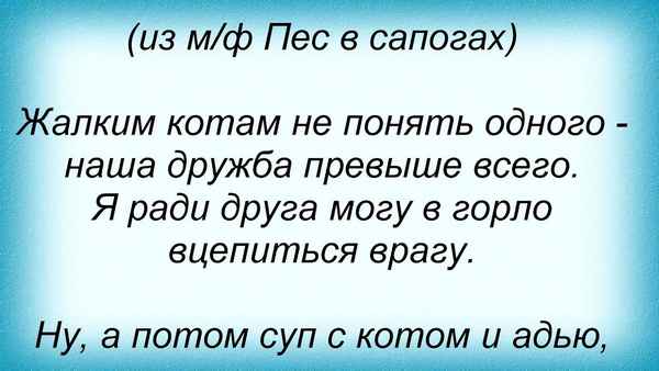 Детские песни Жалким котам