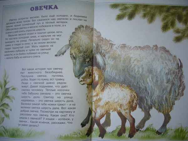 Детские песни Овечки