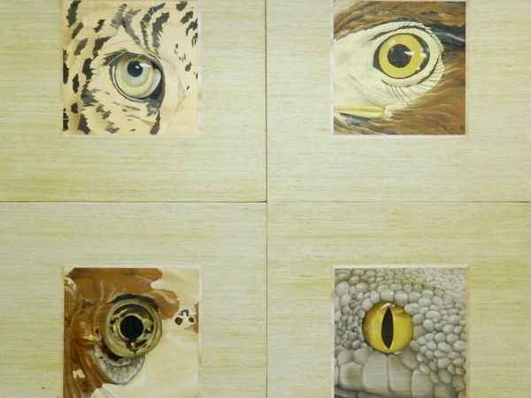 Аукцион Глаза Аукцион Глаза