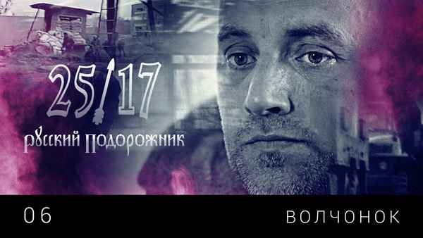 25/17 Волчонок