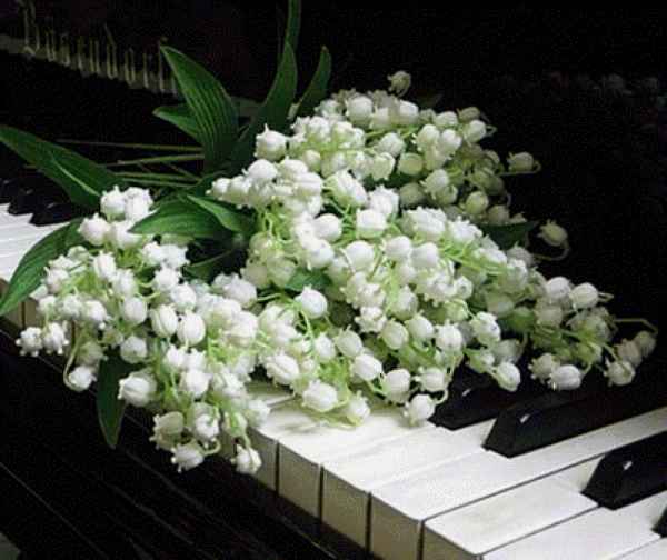 Романсы Ландыши