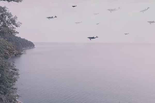 Рем Дигга - Дельфины (Текст Песни, Слова)