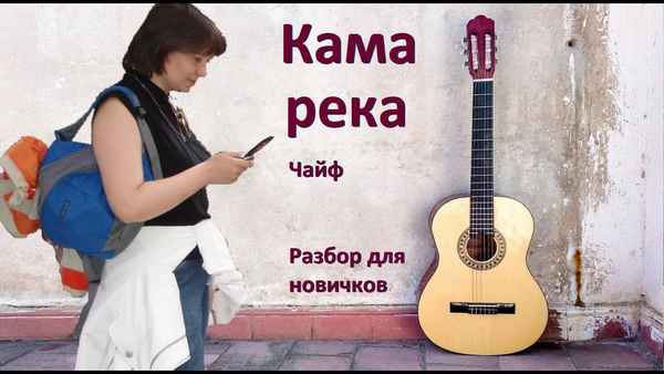 Чайф Камарека