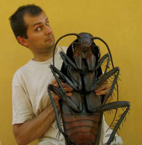 Жуки О настоящих парнях Жуки О настоящих парнях