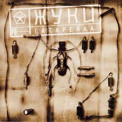 Жуки Пойдем дружить